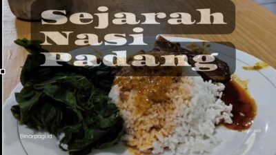 Ilustrasi Nasi Padang.