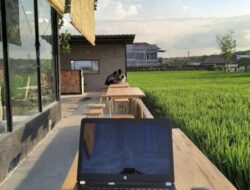 Esonja, Kafe Belakang UIN Malang View Hijau Sawah, Cocok untuk Nugas dan Kongkow