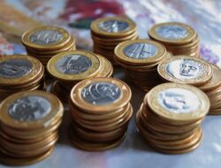 Ekonomi Makro dan Mikro, Relasinya dengan Kebijakan Negara