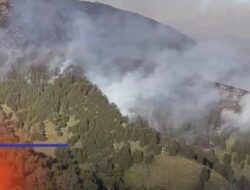 Kawasan Gunung Bromo Terbakar, TNBTS Akan Gunakan Citra Satelit