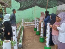 Dosen Umner Latih Kaum Ibu tentang Greenhouse dan Drip Irrigation untuk Pertanian Berkelanjutan