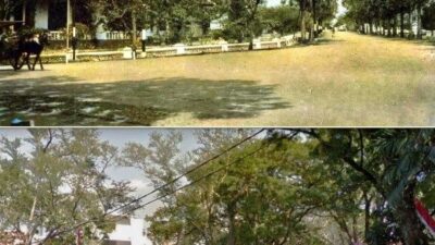 Visualisasi Wisma Tumapel. Foto/Pinterest.