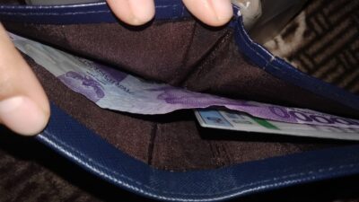 Visualisasi Dompet Akhir Bulan. /Pinterest