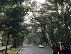 Malang di mata Pejalan Kaki