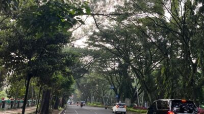 Visualisasi Jalan Veteran/Foto