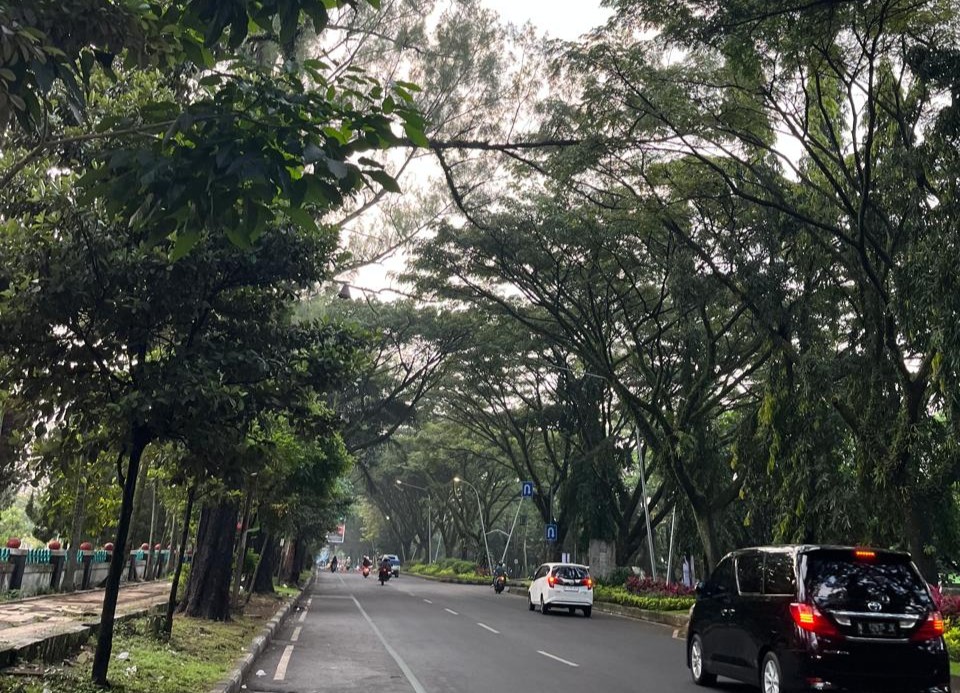 Visualisasi Jalan Veteran/Foto