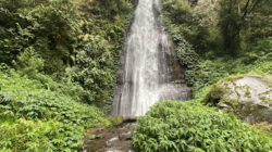 Visualisasi Destinasi Alam Coban Sumber Pitu. foto/Google Review 